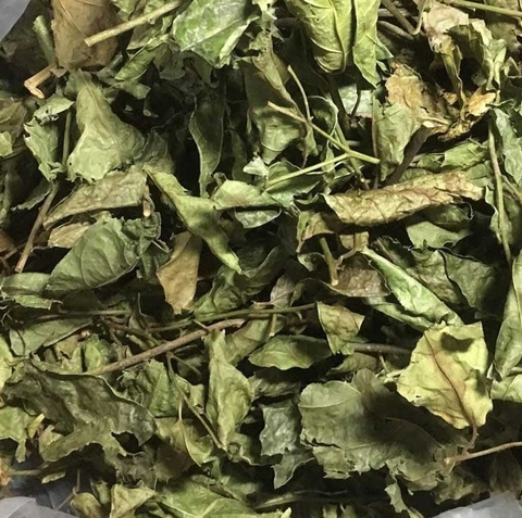 xạ đen chuẩn bán ở đâu giá bao nhiêu