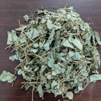 Kim Tiền Thảo sấy khô đóng túi chân không