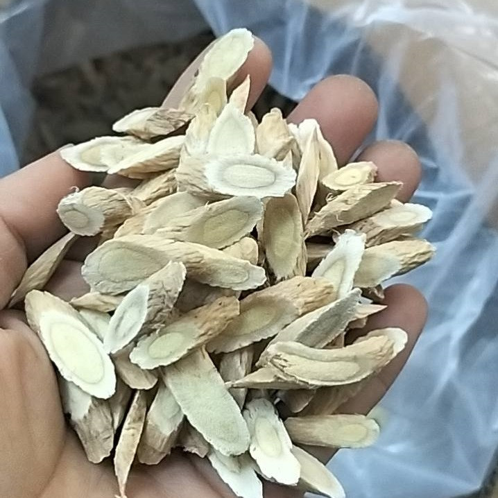 Hoàng kỳ - công dụng, tác dụng