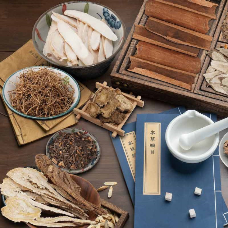 Bài thuốc Độc hoạt tang ký sinh cho người đau lưng khớp gối