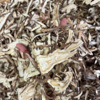 Đương quy bắc sấy khô đóng túi chân không