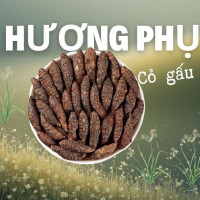 Hương phụ