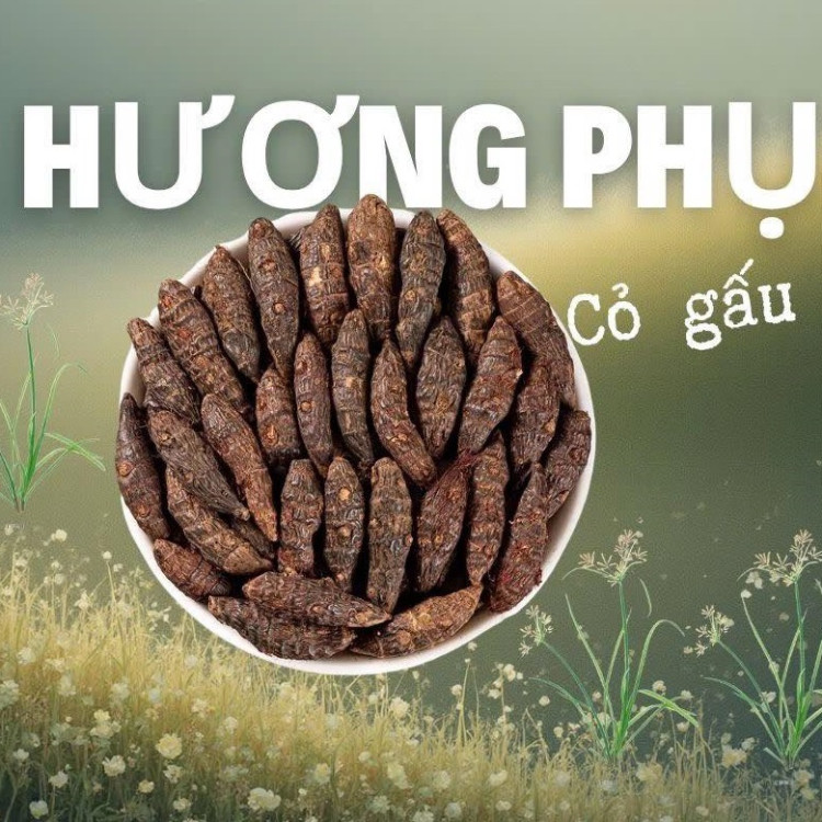 Hương phụ